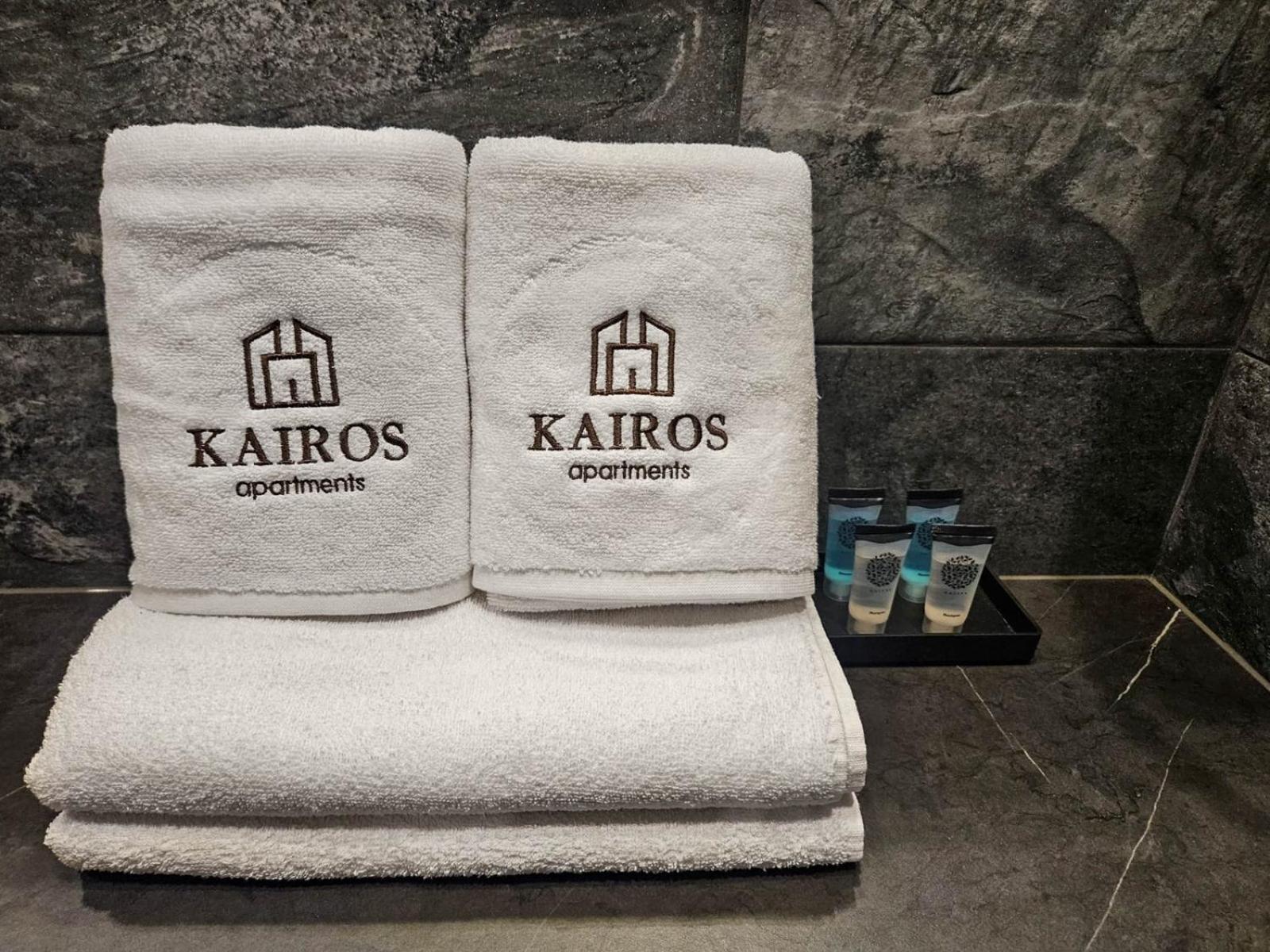 Kairos Apartments -Tower II Premium - Darmowy Parking, Silownia, Sauna - Scisle Centrum Katowice Exterior photo